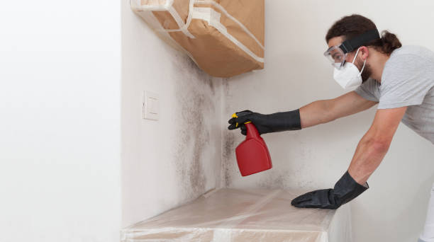 Professional Crawl Space Mold Removal technician working in Seaford, NY