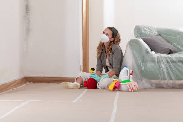 Reliable Crawl Space Mold Removal contractor in Seaford, NY by WQB Mold Removal